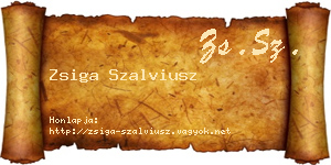 Zsiga Szalviusz névjegykártya